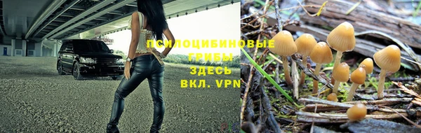 спиды Дмитров