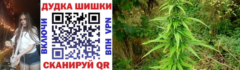Шишки марихуана THC 21% Кировск